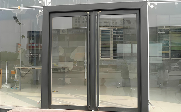 志丹玻璃地弹门
